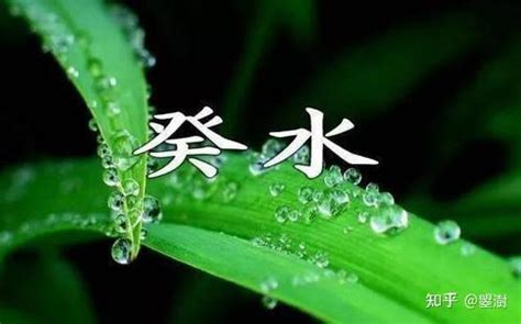 癸水 壬水|癸水壬水子水亥水区别